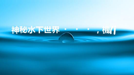 神秘水下世界，機(jī)器人探秘的奇幻之旅！
